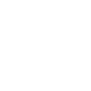 Main Logo